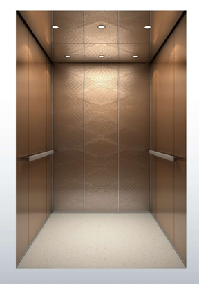 Rose Gold Embossed Passenger Elevator